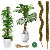 1 x RAW Customer Returns 2 pieces 60CM moss stick bendable, plant sticks coconut moss stick for monstera plant trellises for climbing plants natural plant support - RRP €17.15