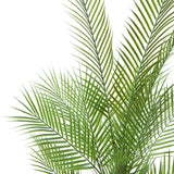 1 x RAW Customer Returns Kazeila Artificial Plants Large Areca Palm 120 cm Artificial Plant Large in Pot Artificial Palm Fake Plants Plastic Plant Decor 1 Pack  - RRP €56.46