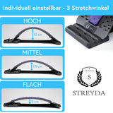 1 x RAW Customer Returns STREYDA Premium back stretcher for posture correction including German instructions in 4 different colors - back stretcher against back pain - back stretcher suitable for all ages purple  - RRP €19.99