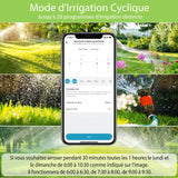 1 x RAW Customer Returns Diivoo watering computer WiFi, watering timer with timer Alexa Smart APP, automatic watering timer with rain-delayed manual automatic mode for lawn garden - RRP €40.33