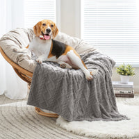 1 x RAW Customer Returns MIULEE Dog Blanket 100x160 cm Cuddly Blanket Dogs Soft Blankets Cats Fleece Blanket Washable Sleeping Pad Suitable for Dogs, Cats, Guinea Pigs and Other Animals Light Gray - RRP €20.49