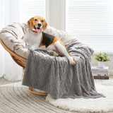 1 x RAW Customer Returns MIULEE Dog Blanket 100x160 cm Cuddly Blanket Dogs Soft Blankets Cats Fleece Blanket Washable Sleeping Pad Suitable for Dogs, Cats, Guinea Pigs and Other Animals Light Gray - RRP €20.49