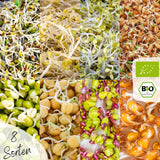 1 x RAW Customer Returns Organic sprout seed set 8 varieties of organic sprout seeds for your sprouting jar or microgreens project with our organic sprout seed mix you can grow 8 healthy sprout varieties - RRP €22.42