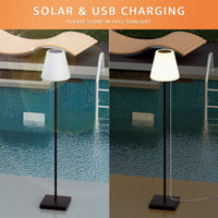 1 x Brand New GGII Solar Floor Lamp Outdoor, Brightness Dimmable, LED Floor Lamp Outdoor with Light Sensor, Warm White and RGB Colors, Floor Lamp Garden Solar, Height Adjustable, Easy Assembly - RRP €79.99