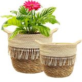 1 x RAW Customer Returns KMERCE plant basket large, set of 2 flower baskets woven from seagrass, planter basket for houseplants, flower pot boho, planters with handles, storage basket, 20cm and 25cm diameter - RRP €29.99