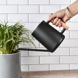 1 x RAW Customer Returns IMEEA 1L Watering Can Indoor Plants Black Watering Can Watering Stainless Steel Indoor Outdoor Watering Can Decorative Watering Can with Long Spout Wooden Handle for Garden Indoor Plants Succulents Bonsai Flowers - RRP €26.21