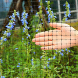 1 x RAW Customer Returns Ohuhu Garden Net Bird Net Black 2m x 30m Anti-Animal Mesh Ideal for Garden, Resistant and Reusable Material to Protect Fruits, Vegetables, from the Attack of Birds and Other Animals - RRP €27.99