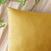 1 x Brand New EMEMA Velvet Cushion Cover Autumn Cushion Cover Decorative Throw Pillows Sofa Cushion Lumbar Cushion Throw Pillow Cover with Hidden Zipper Bedroom Sofa Set of 2 30 x 50 cm Lemon Yellow - RRP €11.1