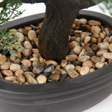 1 x RAW Customer Returns Artificial Bonsai Lifelike Artificial Plant Artificial Tree Bonsai Cedar Pine Podocarpus Plastic Plant Artificial Plant with Ceramic Planter in Black for Bathroom Decoration Desktop Office Windowsill - RRP €53.44