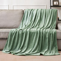 1 x RAW Customer Returns MIULEE Cuddly Blanket Fluffy Blanket Fleece Blanket Living Blankets Couch Blanket Fluffy Throw Microfiber Bedspread Sofa Blanket Blanket For Bed Sofa Bedroom Office 230x270 cm Matcha Green - RRP €37.99