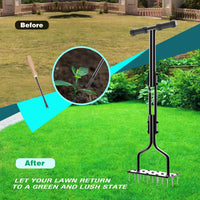 1 x RAW Customer Returns vanpein Aerator for Lawns, Lawn Aerator for Compacted Soils and Lawns, Non-Slip T-Handle, Equipped with 15 Solid Steel Nails - RRP €43.99