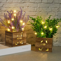 1 x RAW Customer Returns BBTO 2 pieces artificial plants with LED lights in a wooden box artificial plants in a pot with the saying Home Sweet Home lavender eucalyptus decorative plants for the living room kitchen office table fresh  - RRP €24.95