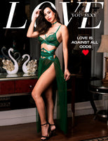 1 x RAW Customer Returns LOVE YOU SEXY Women s Lace Lingerie Set Lace Bra and Belt with Long Sheer Mesh Dress Nightdress with G-string 4 Pieces Lingerie Set Emerald Green 70B - RRP €40.32