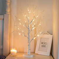 1 x RAW Customer Returns EAMBRITE light tree light branches for indoors 24 warm white LEDs tree birch decorative branches battery operated Christmas decoration for home party birthday wedding interior decoration 60cm 2ft  - RRP €16.99