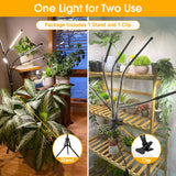 1 x RAW Customer Returns wolezek plant lamp LED full spectrum, 5 head 100 LEDs plant light with stand, growth lamp for plants with 6 12 16H timer, 3 color modes and 5 levels dimmable, grow light, indoor plants - RRP €46.99