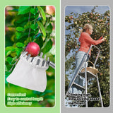 1 x RAW Customer Returns 4.2M fruit picker with telescopic handle, fruit picker for cherries diameter 16 cm, apple picker with cotton bag, cherry picker, plum picker for reaching inaccessible places in fruit trees - RRP €34.26