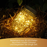 2 x RAW Customer Returns Paxluv Solar Lantern Outdoor Garden - Set of 4 - Solar Outdoor Lantern to Place or Hang - 30 LED Lanterns, Garden Decoration. Autonomous Economical Solar Lantern. Glass 13.4 x 7 cm - RRP €48.98