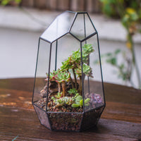 1 x RAW Customer Returns NCYP 16.5x16.5x25cm Glass Geometric Terrarium, Irregular Prism, 25cm High Flower Pot for Succulents, Fern Without Plants  - RRP €36.99