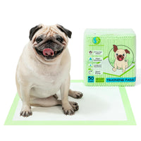 Brand New Job Lot Pallet - Dog Mats - Puppy Training -  57 Items - RRP €877.23