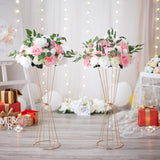 1 x RAW Customer Returns Sziqiqi Flower Stand for Wedding Decoration - 60cm Gold Geometric Trumpet Vases for Table Set of 2 Metal Display Flower Column for Wedding Birthday Party Large Flower Stand for Artificial Flowers - RRP €38.24