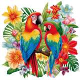 1 x RAW Customer Returns Cukol Parrot Cross Stitch Set Pre-Printed Animals Embroidery Templates Embroidery Pictures Pre-Printed Cross Stitch Embroidery Kits Embroidery Kit Cross Stitch Embroidery Kit Embroidery Set Adults Beginners 36x36cm - RRP €17.78