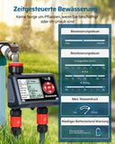 1 x RAW Customer Returns DEWENWILS irrigation computer 2 outputs, 4 irrigation programs for each zone, garden irrigation clock, automatic irrigation timer with rain-delayed manual automatic mode - RRP €49.99