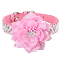 2 x Brand New PET ARTIST Cute Girl Rhinestone Suede Dog Collar for Small Dogs Cats, Soft Flower Dog Collar, Bling Dog Collars for Small Puppy Dogs Pink Collar M - RRP €40.8