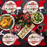 1 x Brand New 48 piece Christmas party tableware set, 12 guests Christmas party tableware, Merry Christmas party tableware, paper plates, cups, napkin, straw, party accessories for Christmas Day, birthday party, anniversary - RRP €12.76