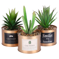 1 x RAW Customer Returns BELLE VOUS 3pcs Artificial Plants Mini Artificial Plants in Pot Green Copper - 10 x 7.5cm Succulent Artificial Cactus in Pot Set as Living Room Decoration, Office Decoration, Bathroom Decoration, Plant Decoration - RRP €35.03