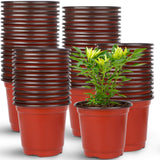 2 x RAW Customer Returns Augshy 150 pieces 10 cm plant pots, cultivation pots, red plastic flower pot for succulent seedlings, cuttings, transplanting - RRP €32.26