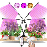 1 x RAW Customer Returns Plant lamp, EWEIMA 80 LEDs plant light with timer 4 8 12 hours, 4 heads grow light, 3 light modes and 10 types of brightness, plant lamp LED full spectrum for various plants - RRP €32.08