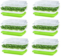 1 x RAW Customer Returns KAHEIGN 6Pcs Sprouting Trays, Seed Sprouter Tray 32cm x 26cm Sprouting Tray with Lid for Large Seeds Germination Tray Germination Box for Growing Mung Beans Alfalfa Wheatgrass - RRP €27.13