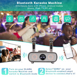 1 x RAW Customer Returns Karaoke machine, Bluetooth karaoke system for adults and children, portable PA system with 2 microphones, speaker with mobile phone holder USB TF card AUX-In, for home party, picnic, outdoor indoor gray  - RRP €81.82