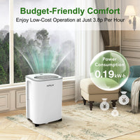 1 x RAW Customer Returns KPUY Home Dehumidifier Mould 12L 24H - Suitable up to 22 55m - Low Energy Consumption - Silent Operation - Digital Humidity Display - 24H Timer - Continuous Drain - RRP €149.99