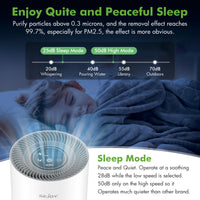 1 x RAW Customer Returns Sejoy Air Purifier True HEPA Filter for Bedroom Pets in the House, 99.9 Removal, 4 Speeds and Timer, Ionizer Cold Plasma Function, 360 Air Inlet, up to 200 SQ.ft - RRP €65.34