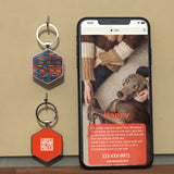 3 x Brand New DISONTAG QR Code Dog Tag ID Personalized Social Online Page-Free Online Pet Profile-Modifiable-Privacy Control-No APP Required Diamond  - RRP €35.88