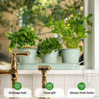 1 x RAW Customer Returns LeafImpact Herb Pots for Houseplants with Tray Grow Fresh Herbs at Home Herb Garden Kitchen Herb Pot Kitchen Indoor Plant Growing Pots for Basil, Mint, Parsley - RRP €17.7