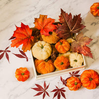 1 x Brand New Artificial Pumpkins, 12 Pack Fake Velvet Pumpkins Table Decoration Small Pumpkins for Home Farmhouse Fall Harvest Thanksgiving Wedding Halloween Party Decoration - RRP €13.91