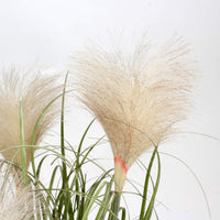 1 x RAW Customer Returns Briful Artificial Pampas Grass Bush Decorative Artificial Plant Artificial Grass Decorative Grass Decorative Plant Ornamental Grass in Black Plastic Pot - RRP €20.16