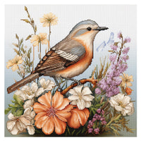 1 x RAW Customer Returns Cukol Bird Cross Stitch Set Pre-Printed, Animals Embroidery Templates Embroidery Pictures Pre-Printed Cross Stitch Embroidery Kits Embroidery Kit Cross Stitch Embroidery Kit Embroidery Set Adults Beginners 40x40 cm - RRP €20.4