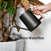 1 x RAW Customer Returns IMEEA 1L Watering Can Indoor Plants Black Watering Can Watering Stainless Steel Indoor Outdoor Watering Can Decorative Watering Can with Long Spout Wooden Handle for Garden Indoor Plants Succulents Bonsai Flowers - RRP €26.21