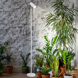 1 x RAW Customer Returns Plant lamp LED full spectrum, 20W plant light for indoor plants, height-adjustable growth lamp with timer 4 8 12H and COB plant light bulb, white stand grow light for large plants - RRP €71.23