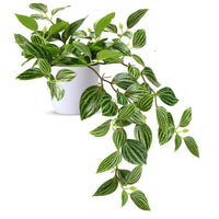 1 x RAW Customer Returns SOGUYI artificial plant 25cm artificial plants artificial plant decoration modern living room balcony bedroom bathroom room table decoration 1 piece  - RRP €22.6