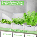 1 x RAW Customer Returns amzWOW Clizia Smart Garden - hydroponic cultivation systems with LED plant lamp - automatic timer germination kit - water shortage alarm, grow your own aromatic herbs at home white  - RRP €69.9