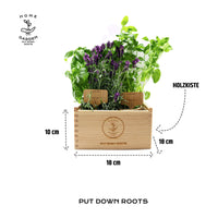 1 x RAW Customer Returns HERB GARDEN GROWING SET 4 types of plants seeds garden starter set, organic seeds with wooden box with lid, mini greenhouse, children s kitchen accessories, children s growing set from PUT DOWN ROOTS - RRP €30.2