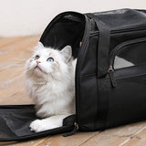 1 x RAW Customer Returns Comfortable dog and cat carrier approved for airplanes, with soft side padding - RRP €33.99