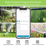 1 x RAW Customer Returns Irrigation computer WLAN 2 outputs, Diivoo Smart App Wireless irrigation system with remote control and Wi-Fi hub, WiFi 2.4GHz with app voice control - RRP €70.81