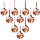 1 x RAW Customer Returns BELLE VOUS Photo Christmas Baubles Pack of 10 Transparent Christmas Tree Baubles with Thread for Hanging 2 x 75 mm Christmas Tree Decorations Photos Family Children Pets, Christmas Party Christmas Decorations - RRP €26.21