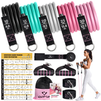 1 x RAW Customer Returns Resistance Bands Resistance Bands Set, 5 Fitness Bands Expander Tube Bands, Fitness Band with Large Handle Ankle Strap Door Anchor Attachment Carrying Bag, Ideal for Pilates Strength Training Physiotherapy - RRP €49.2