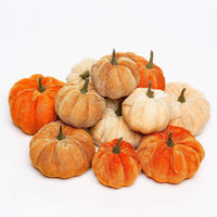 11 x Brand New simpdecor Artificial Pumpkins 12 Pieces Small Fake Velvet Artificial Pumpkins for Halloween, Fall and Thanksgiving Party Decoration - RRP €203.28